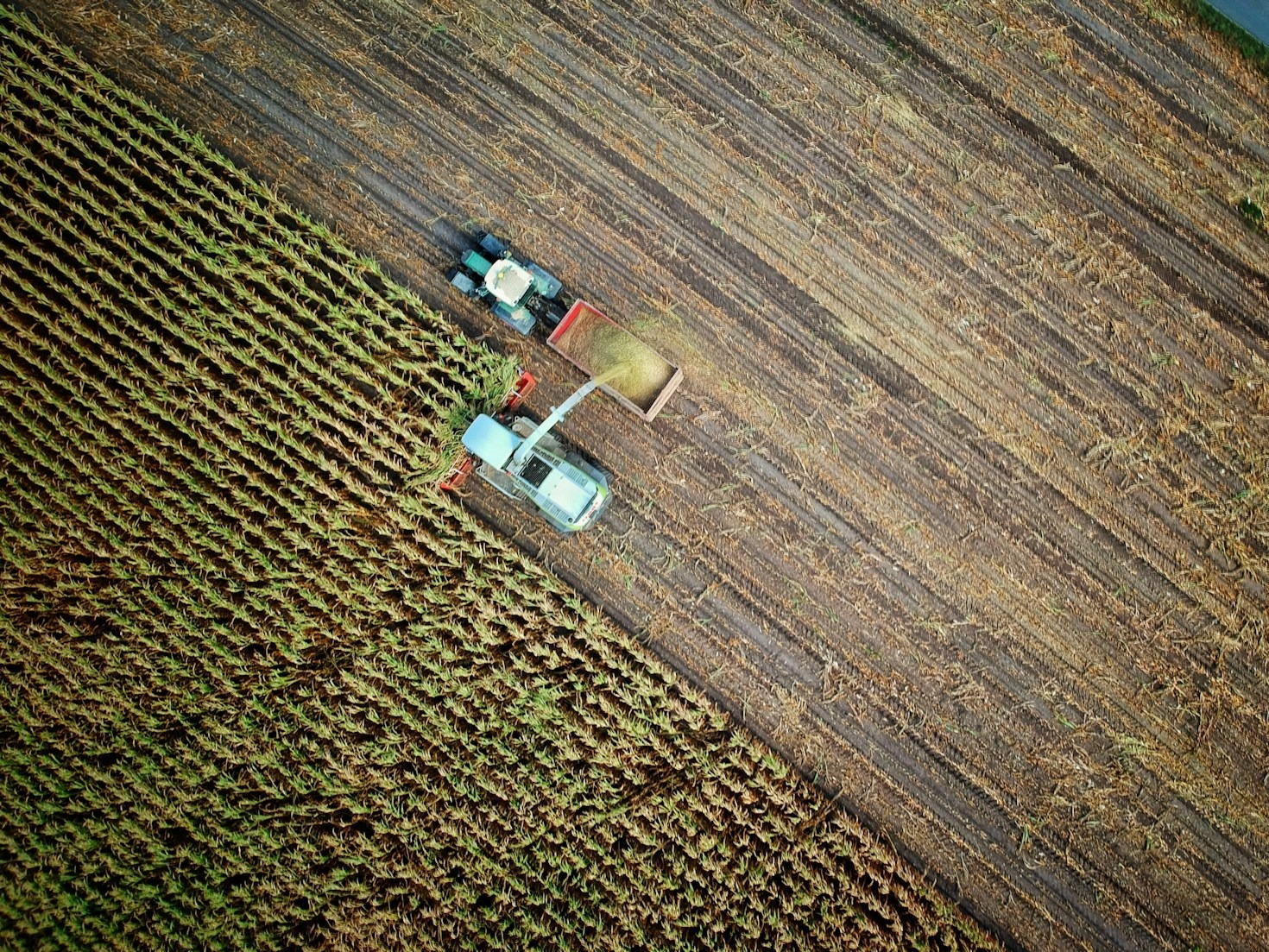 As ferramentas indispensáveis para a pecuária eficiente