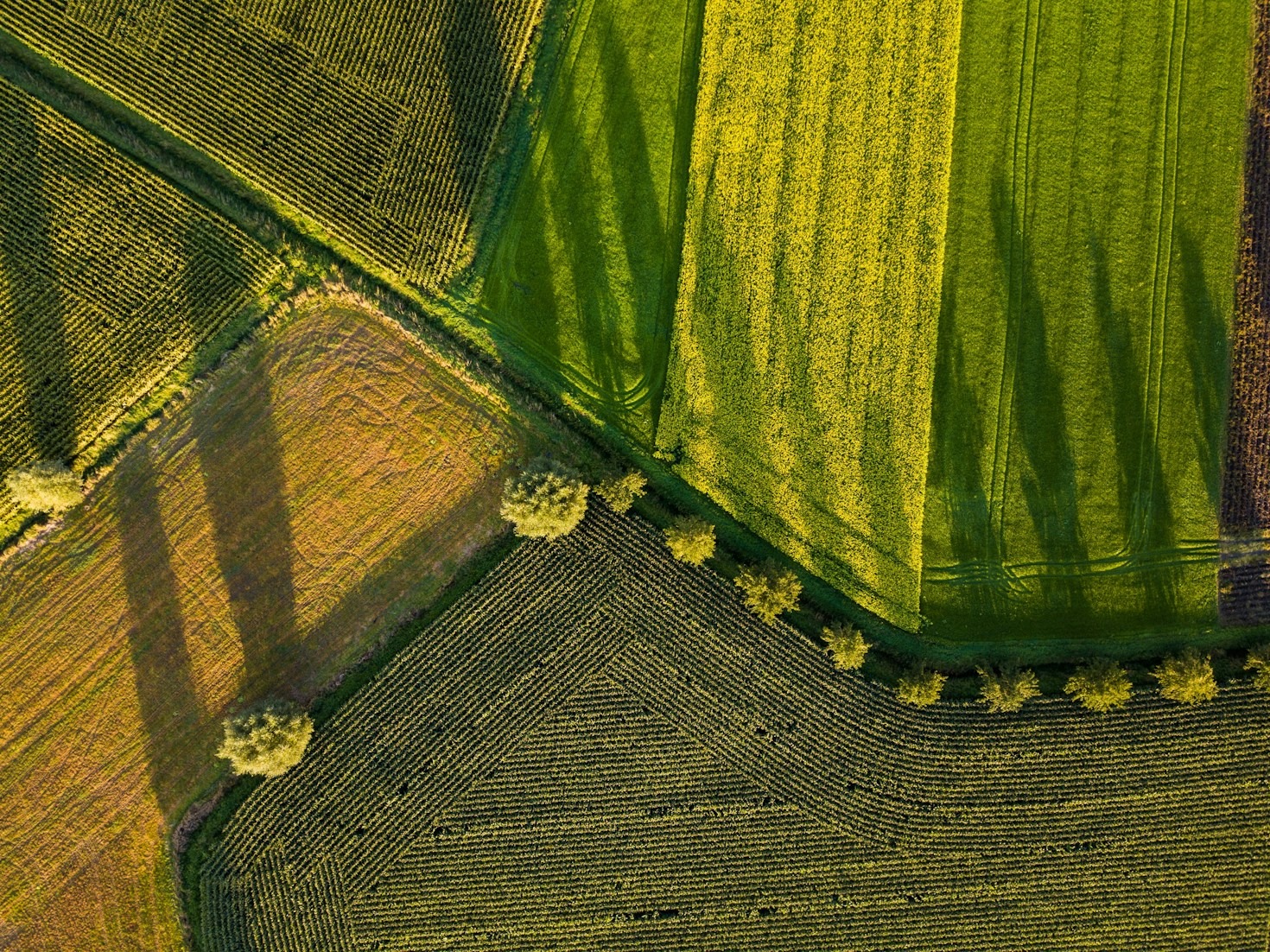Transformando o agronegócio com soluções integradas